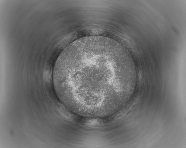 X0000111620177200908281121