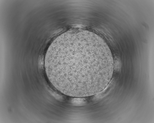 X0000111620179200908281121