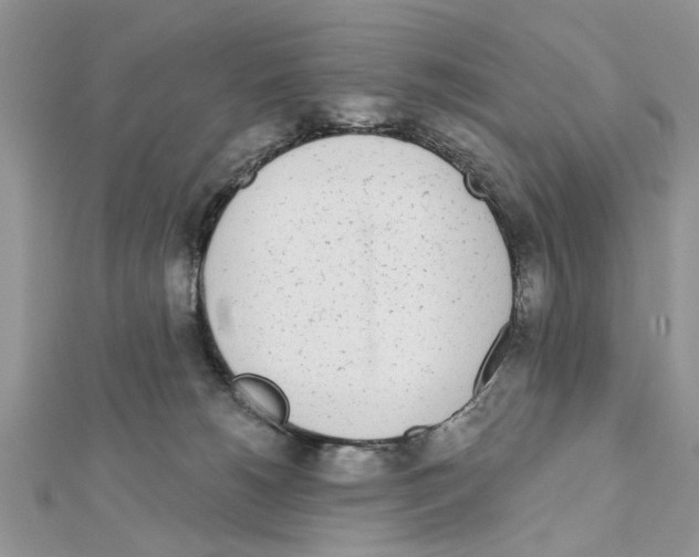 X0000111620180200908281121