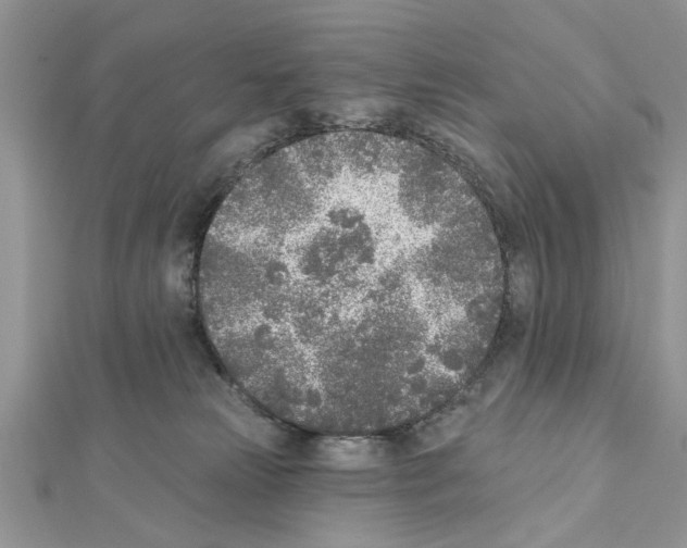 X0000111620181200908281121