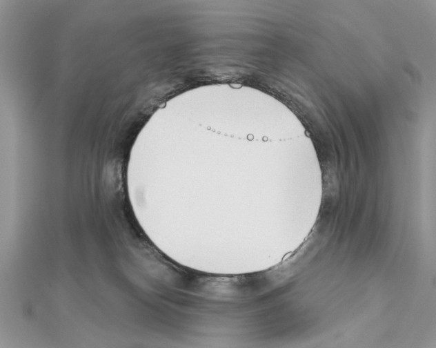 X0000111620182200908281121