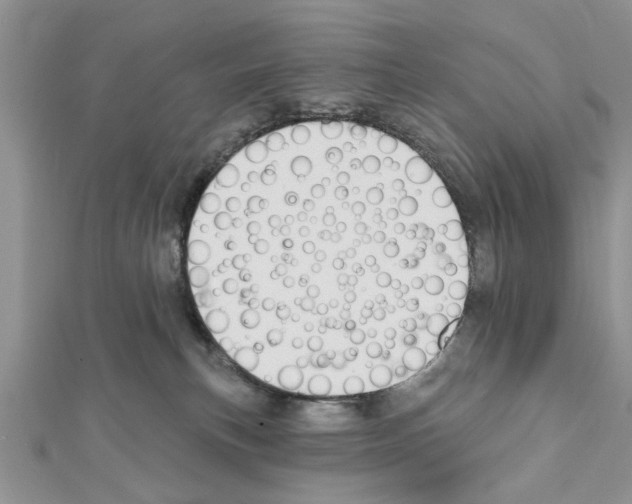 X0000111620183200908281121