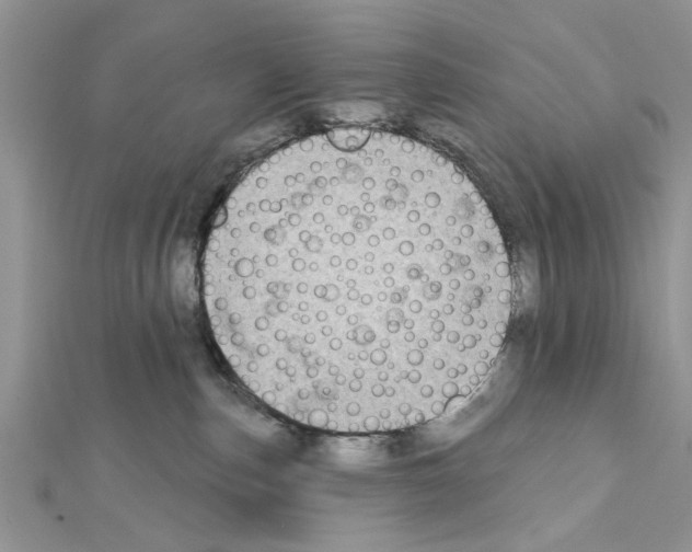 X0000111620187200908281121