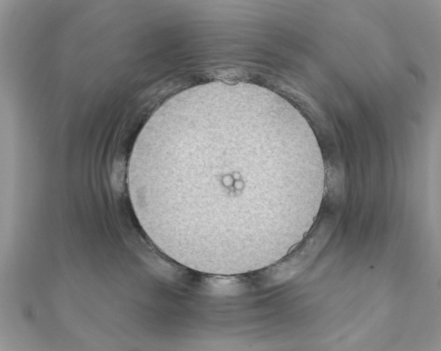 X0000111620189200908281121