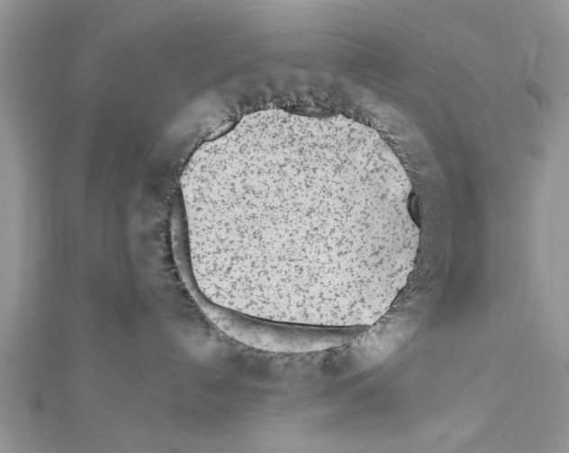 X0000111620192200908281121