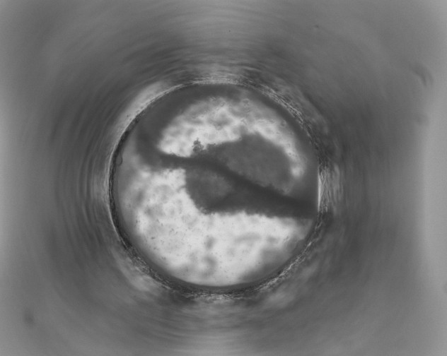 X0000111620195200908281120