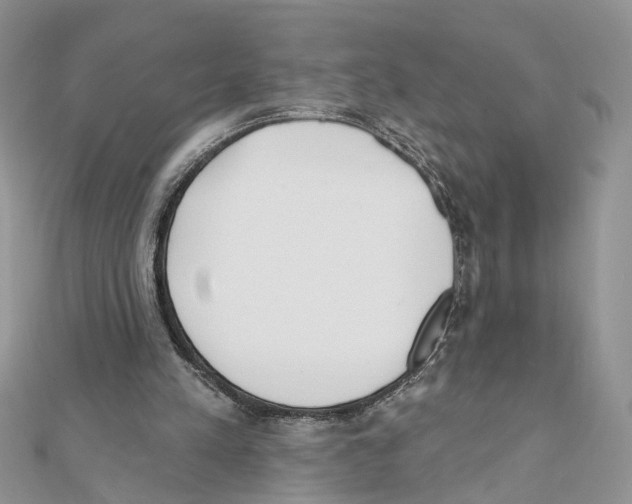 X0000111620197200908281120