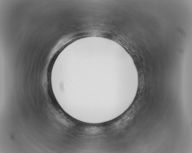 X0000111620198200908281120