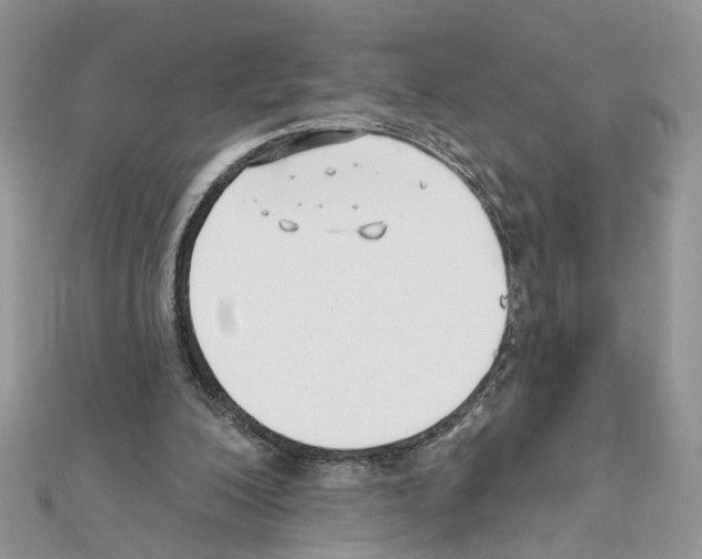 X0000111620200200908281120