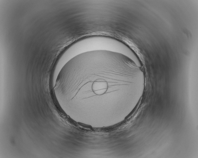 X0000111620201200908281120