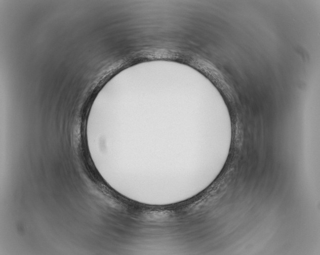 X0000111620202200908281120