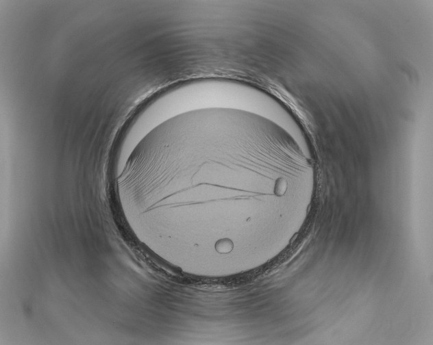 X0000111620203200908281120