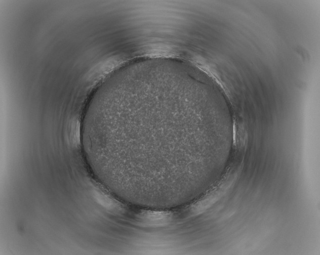 X0000111620205200908281120