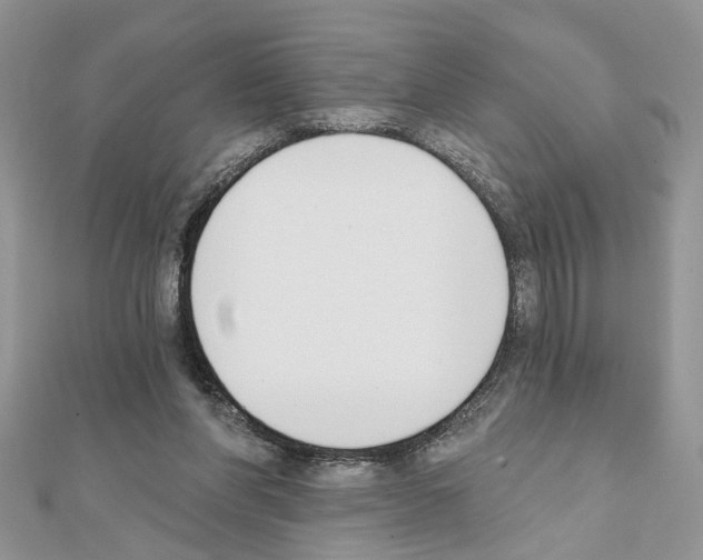 X0000111620206200908281120