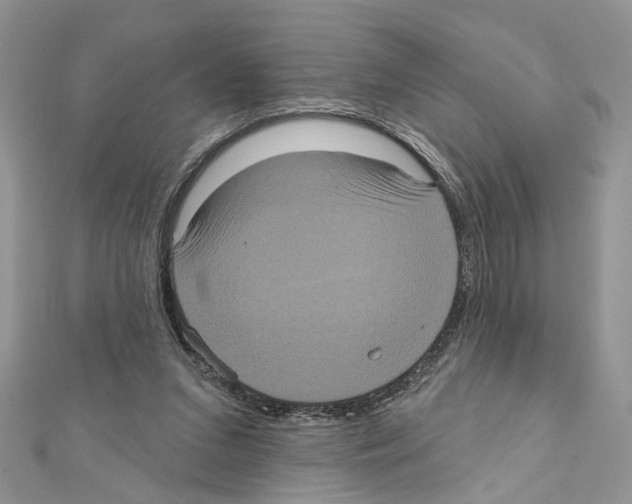 X0000111620207200908281120