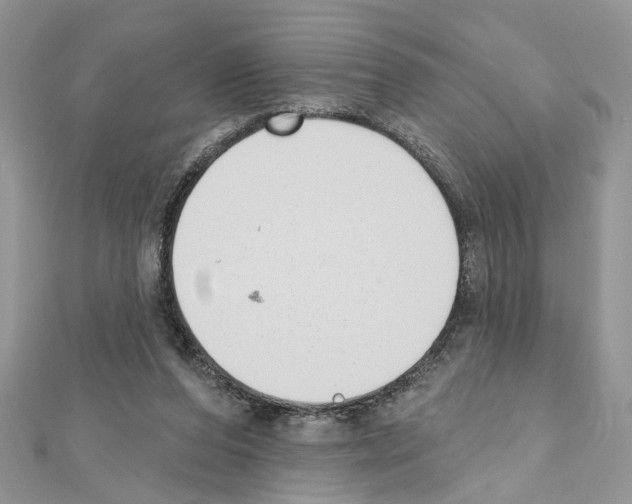 X0000111620208200908281120