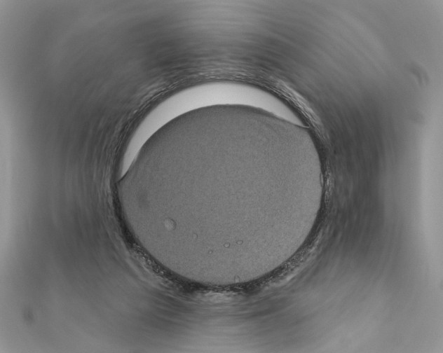 X0000111620209200908281120