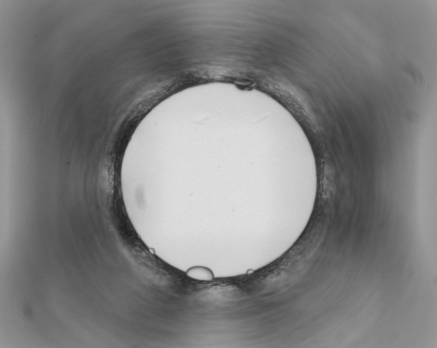 X0000111620210200908281120