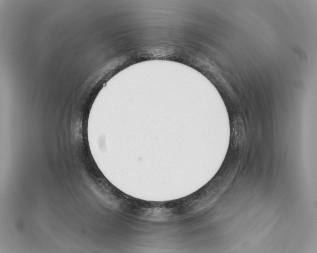 X0000111620212200908281120