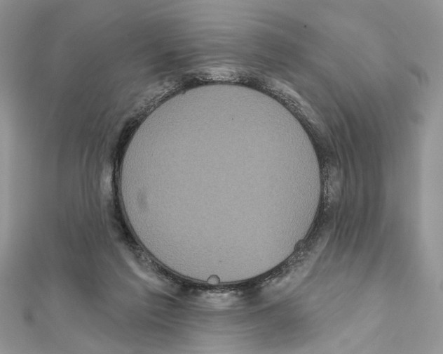 X0000111620213200908281120