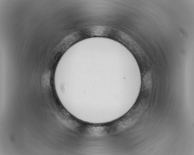 X0000111620217200908281120