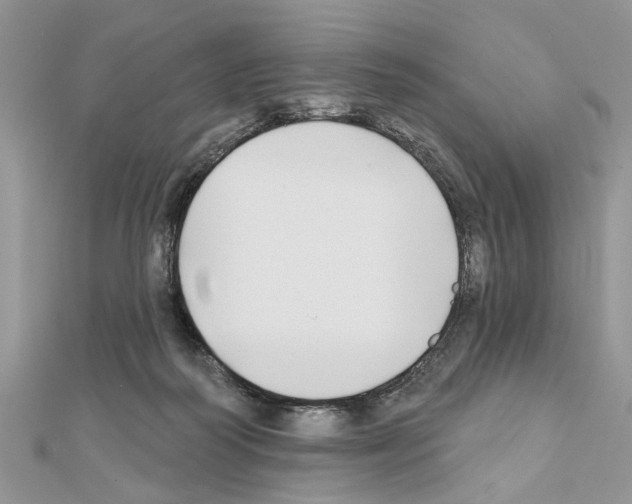 X0000111620218200908281120