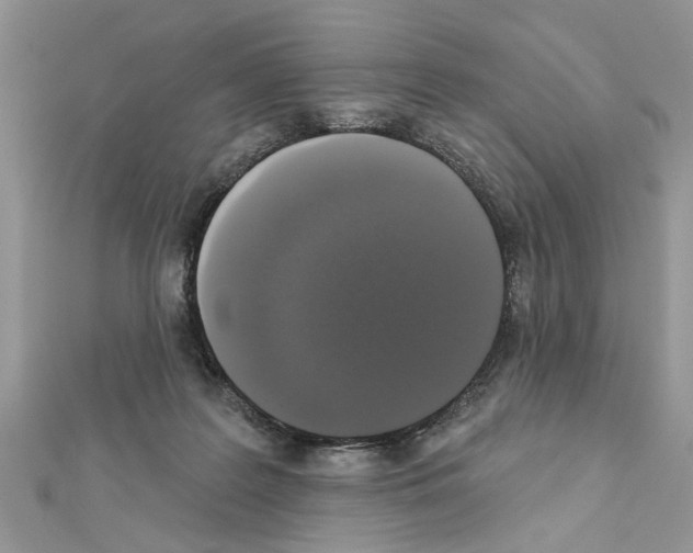 X0000111620219200908281120