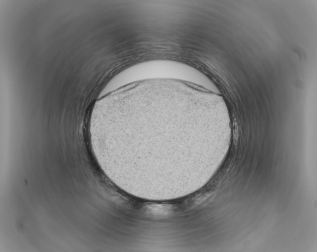 X0000111620221200908281120