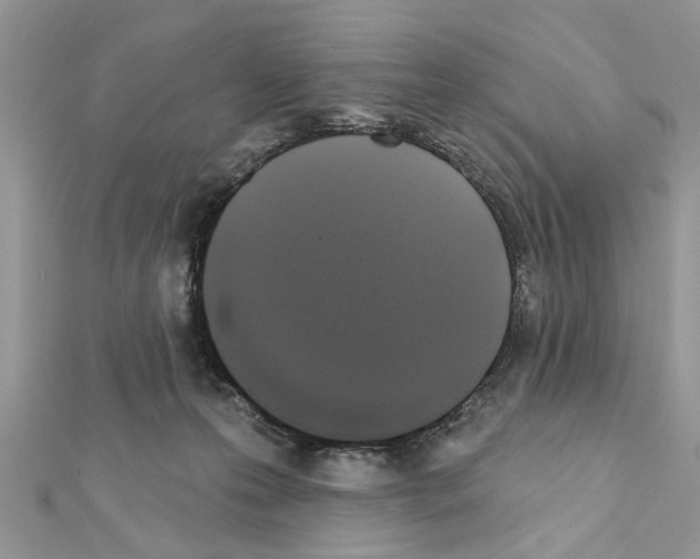 X0000111620223200908281120