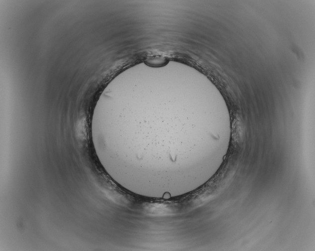 X0000111620224200908281120