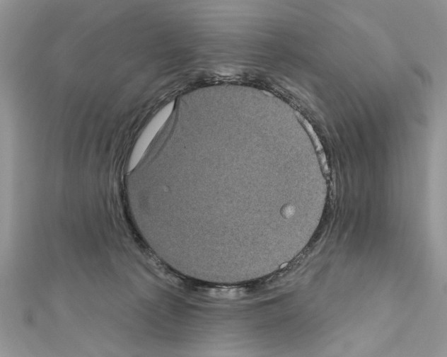 X0000111620225200908281120