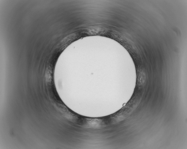 X0000111620226200908281120