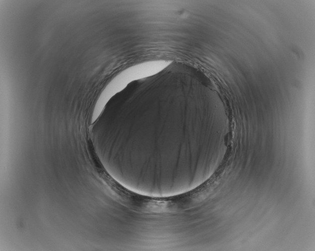 X0000111620227200908281120