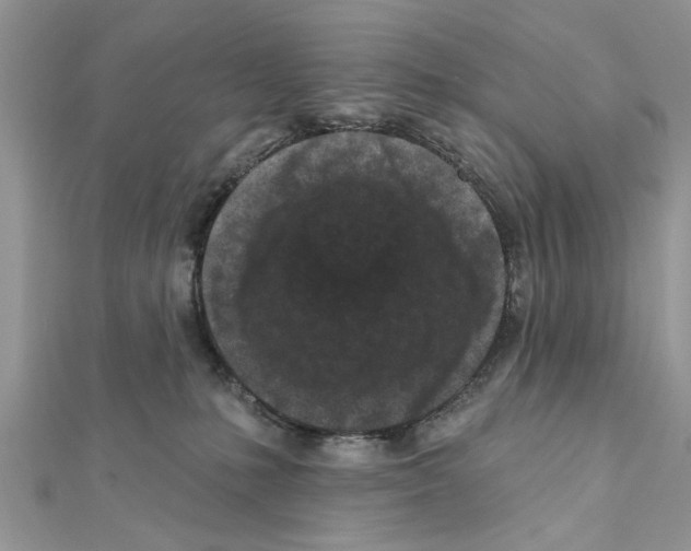 X0000111620231200908281120