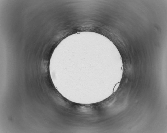 X0000111620232200908281120