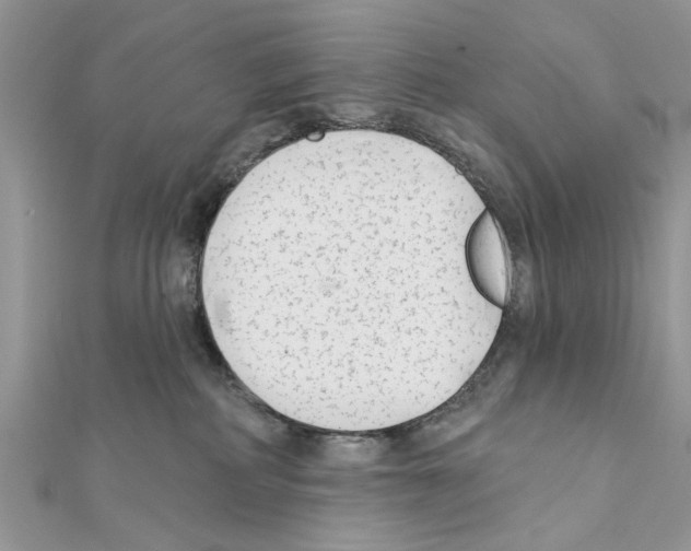 X0000111620234200908281120