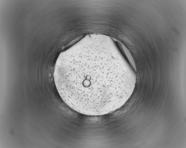 X0000111620237200908281120