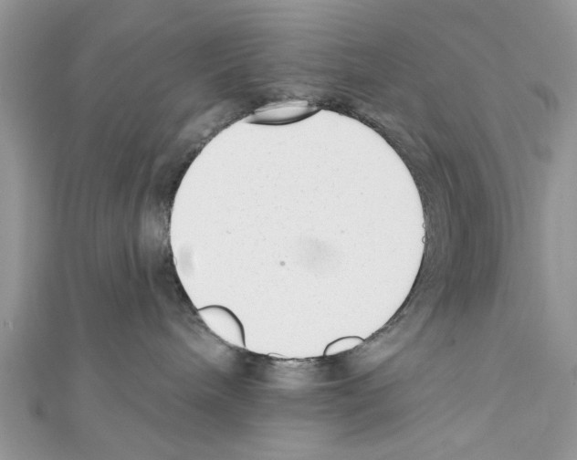 X0000111620240200908281120