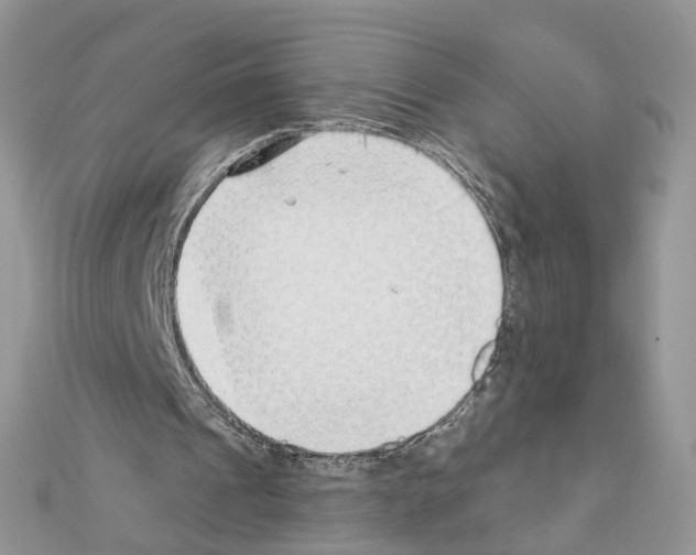 X0000111620241200908281119