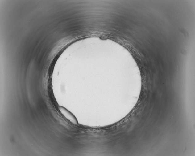 X0000111620242200908281119