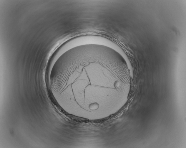 X0000111620244200908281119