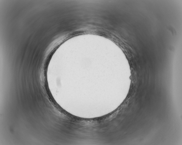 X0000111620245200908281119