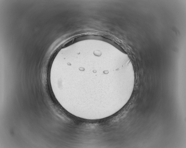 X0000111620247200908281119