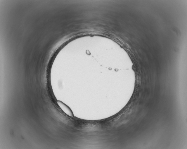 X0000111620248200908281119