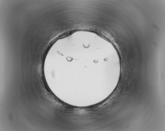 X0000111620249200908281119