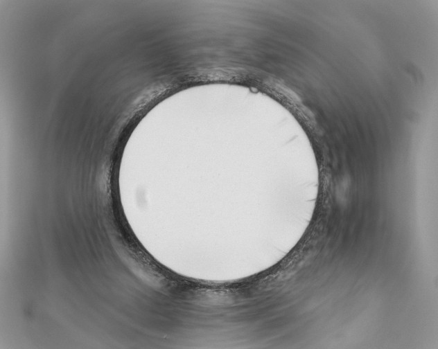 X0000111620250200908281119