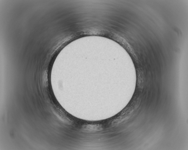 X0000111620251200908281119