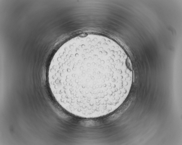 X0000111620253200908281119