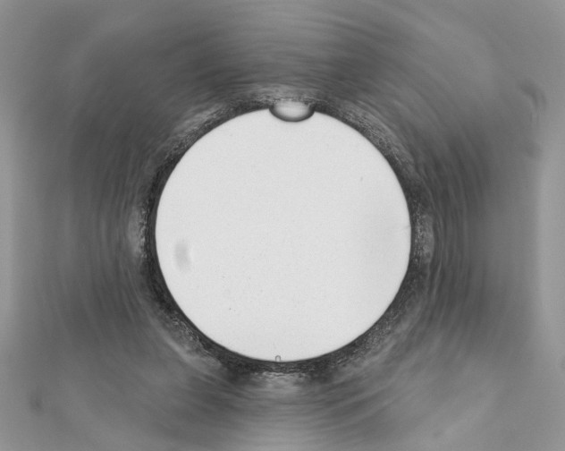 X0000111620255200908281119