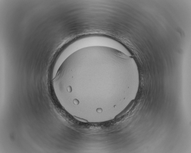 X0000111620256200908281119